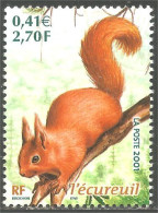 331ng-10 France Écureuil Squirrel Eekhoorn Eichhörnchen Ardilla Scoiattolo Sans Gomme - Autres & Non Classés
