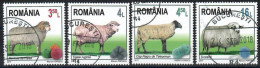 Romania, 2017, USED,     Sheep From Romania,  Mi. Nr. 7284-7 - Usati