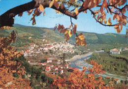 LE VIEUX VILLAGE DE PALALDA PRES D AMELIE LES BAINS - Amélie-les-Bains-Palalda