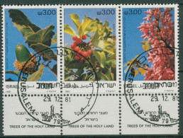 Israel 1981 Pflanzen Bäume Des Heiligen Landes 868/70 ZD Mit Tab Gestempelt - Used Stamps (with Tabs)