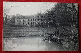 CPA - Château Des Artistes Lyriques -( Ris Orangis ) - Ris Orangis