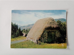 Carte Postale - Auvergne Pittoresque - Vieux Buron Au Toit De Chaume    (2Lpbxg) - Auvergne