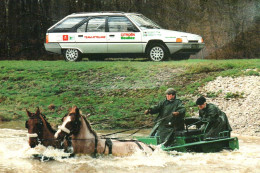 Automobile - Voiture , Team Attelage Citroën Heuliez , Champion De France 1985 - Citroën BX Break - PKW