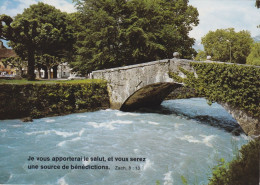 Aigle - Pont De La Fontaine Sur La Grande Eau        Ca. 1970 - Aigle