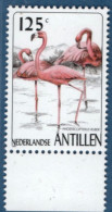 Antilles Dutch 1997 Flamingo Rose Fl 1.25, 1 MNH Phoenicopterus Ruber, Nederlandse Antillen - Flamingos