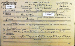 WW2 – 1945 Tessera - A.E.F. D.P. Registration Record Di Italiano – S6906 - Dokumente