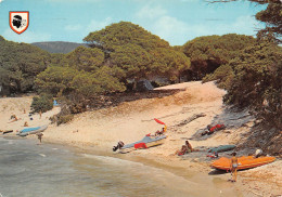 2A  Porto-Vecchio  Plage De Palombaggia (Scan R/V) N°   17   \OA1018 - Sartene