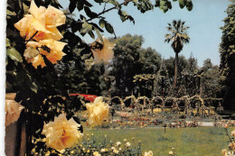 13 MARSEILLE  Le Parc BORELY  La Roseraie  (Scan R/V) N°   35   \OA1034 - Parks, Gärten