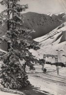 81482 - Österreich - Mayrhofen - Penkenbahn - Ca. 1960 - Schwaz