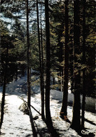 01  Route Du Col De La Rochette  Sous La Neige        (Scan R/V) N°   7   \OA1050 - Trévoux