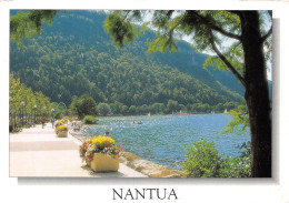 01 NANTUA  La Promenade   (Scan R/V) N°   16   \OA1043 - Nantua