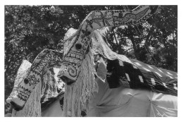 MALI DOGON  Photo  1962 Cérémonie  Masques    (Scan R/V) N°   28   \OA1041 - Mali