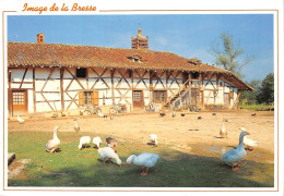 01  Ferme Du Sougey A Montrevel  (Scan R/V) N°   31   \OA1051 - Oyonnax