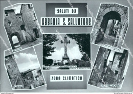 Bn687 Cartolina Saluti Da Abbadia S.salvatore Provincia Di Siena - Siena