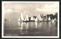 AK Friedrichshafen A. B., Blick Vom See Mit Segelschiffen  - Friedrichshafen