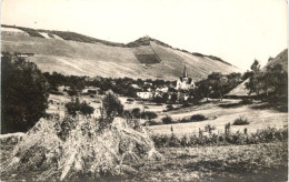 Weindorf Ockfen - Saarburg