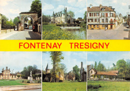 77 FONTENAY TRESIGNY - Fontenay Tresigny