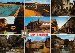 85 SAINTE HERMINE - Sainte Hermine