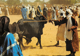 NIGER MARCHE D AYOUROU - Níger