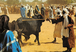 NIGER MARCHE D AYOUROU - Niger