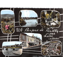 58 POUILLY SUR LOIRE - Pouilly Sur Loire