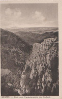 13497 - Thale - Bodetal - Blick V. Hexentanzplatz - Ca. 1955 - Thale