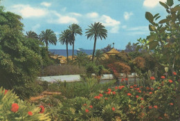 133346 - Las Palmas - Spanien - Jardines - Gran Canaria