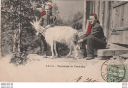 SUISSE - PAYSANNES DE CHAMPERY - TRAITE D UNE CHEVRE - EN 1905 -( 2 SCANS ) - Champéry