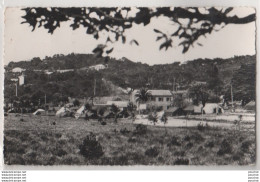 83) LES OURSINIERES PAR LE PRADET (VAR) VUE GENERALE DU CAMP C.C.O.S. ELECTRICITE DE FRANCE EN 1959 - 2 SCANS - Le Pradet