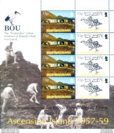 Spedizione Dell'Unione Ornitologica Britannica 2007. - Ascension