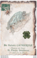 DE SAINTE CATHERINE RECEVEZ CET ENVOI IL PORTE BONHEUR A CELLE QUI LE RECOIT - BONNET - TREFLE - EDELWEISS - 2 SCANS - Saint-Catherine's Day