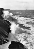 Cleden Cap Sizun LA POINTE DU VAN Vue Sur La Pointe Du RAZ   11 (scan Recto-verso)KEVREN5Ter - Cléden-Cap-Sizun