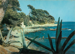 Carqueiranne, Plage Des Pins Penches (scan Recto-verso) KEVREN0019 - Carqueiranne