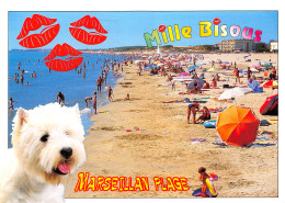 34-MARSEILLAN PLAGE-N°C-3670-C/0155 - Marseillan