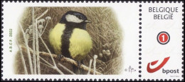 DUOSTAMP** / MYSTAMP** - Mésange Charbonnière / Koolmees / Parus Major - BUZIN - Gommé / Gegomd - ABCP - 1985-.. Pájaros (Buzin)