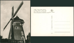 Carte Postale - Dernier Moulin à Vent De La Hesbaye Liègeoise, Donceel (1948) - Donceel