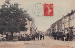 A3-31) MURET -  RIUTE DE NOE  - ANIMEE - HABITANTS  -  COLORISEE - EN  1908 - Muret