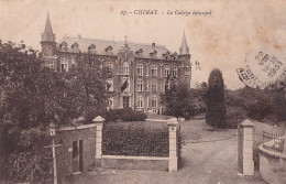 A3- CHIMAY - LE COLLEGE EPISCOPAL - ( 2 SCANS ) - Chimay