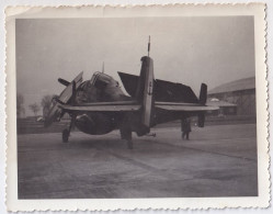 A1- PHOTO AUTHENTIQUE 13 X 10 - AVION DE L 'AERONAVALE FRANÇAISE DE TYPE : GRUMMAN TBF AVENGER   - 2 SCANS - 1939-1945: II Guerra