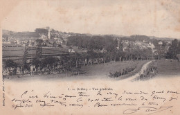 A12-64) ORTHEZ - VUE GENERALE  -  EN 1903  - ( 2 SCANS ) - Orthez