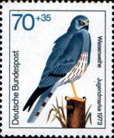 RFA Poste N** Yv: 607 Mi:757 Jugendmarke Wiesenweihe (Thème) - Eagles & Birds Of Prey