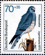 RFA Poste N** Yv: 607 Mi:757 Jugendmarke Wiesenweihe (Thème) - Águilas & Aves De Presa