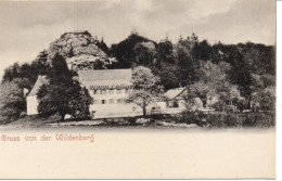 Gruß Von Der Wildenburg Von Ansichtskarte - Non Classificati