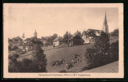 AK Hemberg, Gesamtansicht  - Hemberg