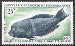 Nouvelle Calédonie - 1965 - PA N°83 Oblitéré - Usados