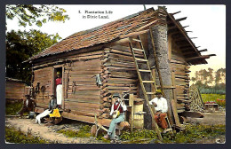 PLANTATION LIFE IN DIXIE LAND - Other & Unclassified