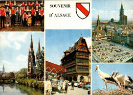 N°483 Z -cpsm Souvenir D'Alsace - Greetings From...