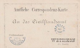 Suisse Carte En Franchise Wetzikon 1880 - Marcophilie