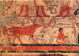 Art - Antiquité - Egypte - Musée Du Louvre - Département Des Antiquités égyptiennes - Scènes D'élevage (traite Et Délivr - Antiek