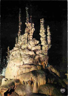 48 - Meyrueis - Grotte De L'Aven Armand - Le Calvaire - CPM - Voir Scans Recto-Verso - Meyrueis